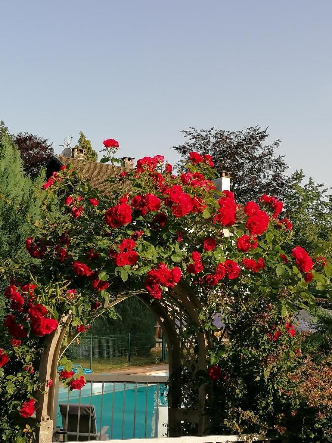 Le Domaine De Shania Provenchères-sur-Fave Exterior foto