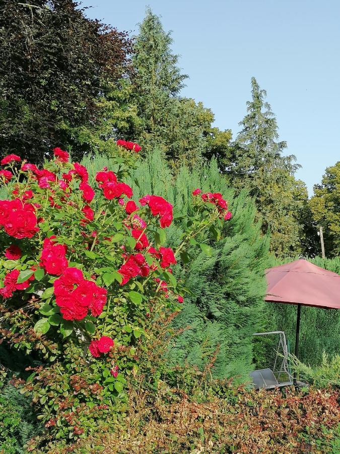 Le Domaine De Shania Provenchères-sur-Fave Exterior foto